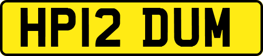 HP12DUM