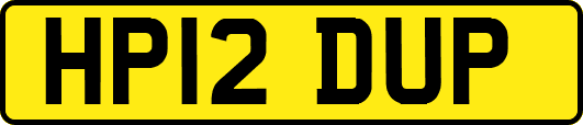 HP12DUP