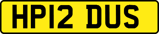 HP12DUS