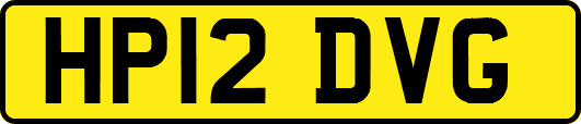 HP12DVG