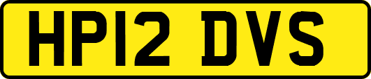 HP12DVS