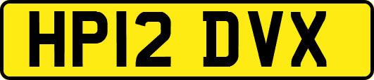 HP12DVX