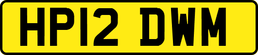 HP12DWM