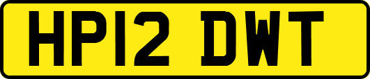 HP12DWT