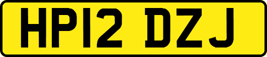 HP12DZJ