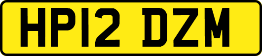 HP12DZM