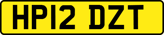 HP12DZT