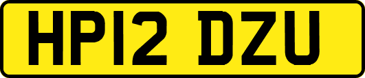 HP12DZU