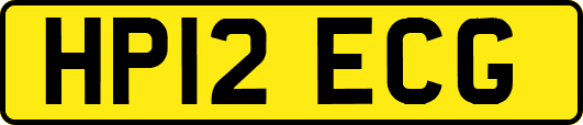 HP12ECG