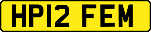 HP12FEM