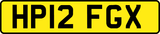 HP12FGX