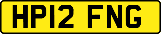 HP12FNG