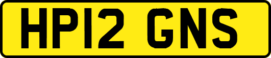 HP12GNS