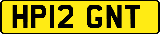 HP12GNT