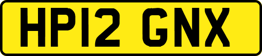 HP12GNX