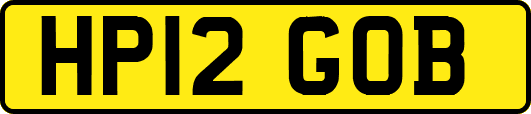HP12GOB