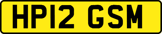 HP12GSM