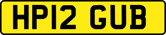 HP12GUB