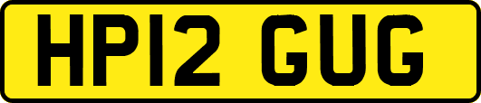 HP12GUG