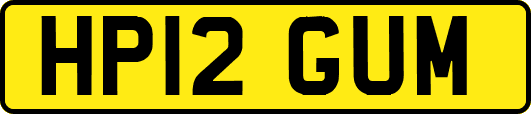 HP12GUM