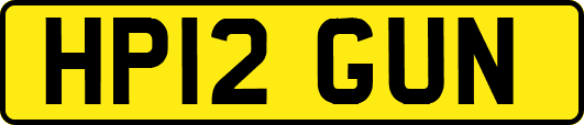 HP12GUN