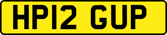 HP12GUP