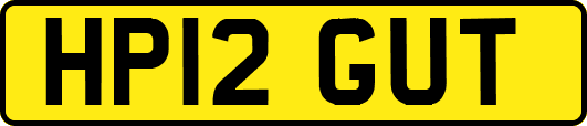 HP12GUT