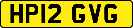 HP12GVG