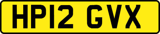 HP12GVX
