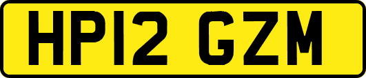 HP12GZM