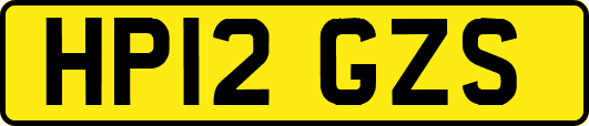 HP12GZS
