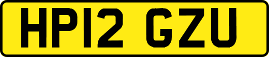 HP12GZU