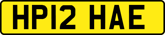 HP12HAE