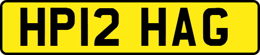 HP12HAG