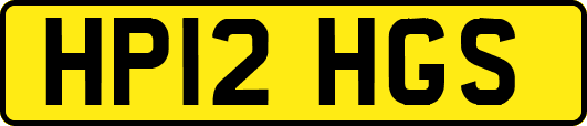 HP12HGS