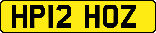 HP12HOZ