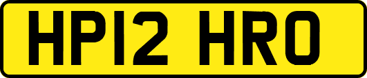 HP12HRO