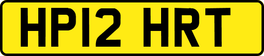 HP12HRT