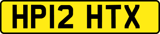 HP12HTX