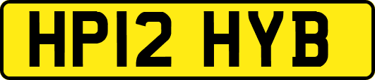 HP12HYB