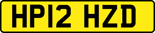 HP12HZD