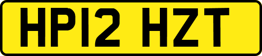HP12HZT