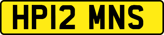 HP12MNS