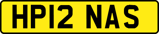 HP12NAS