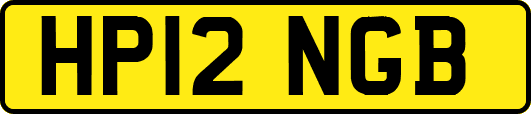 HP12NGB