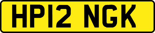 HP12NGK
