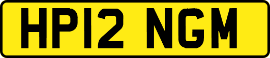 HP12NGM