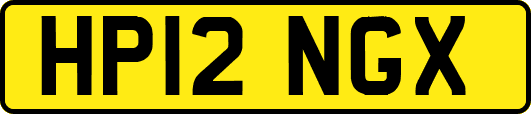 HP12NGX