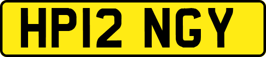 HP12NGY