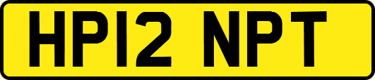 HP12NPT